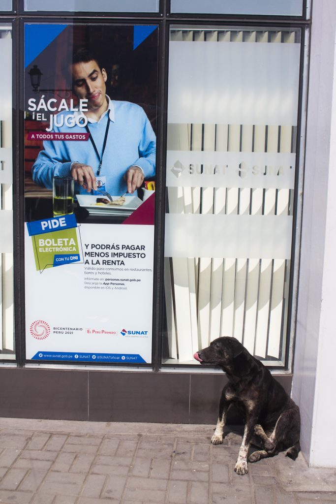 Perro sentado sobre el pavimento con la lengua sobre su nariz al lado de un muro donde está un afiche que muestra a una persona con cubiertos en ambas manos, preparándose para comer. La persona tiene una lengua salida de su boca en gesto de satisfacción por la comida que va a degustar