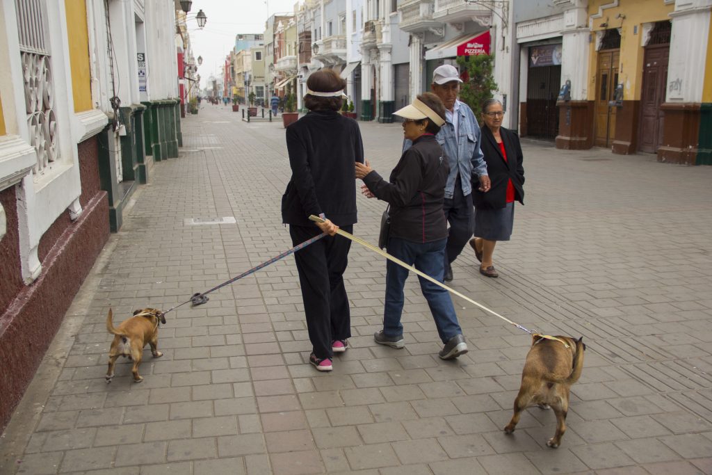 Mujer con vestimenta de color negro en paseo peatonal, lleva dos perros atados con arnés y correas. Un perro es pequeño y el otro grande y las mascotas están dispuestas en extremos, detrás de su dueña. La acompaña una señora con visera y cerca una pareja de ancianos cruza frente a ellos.