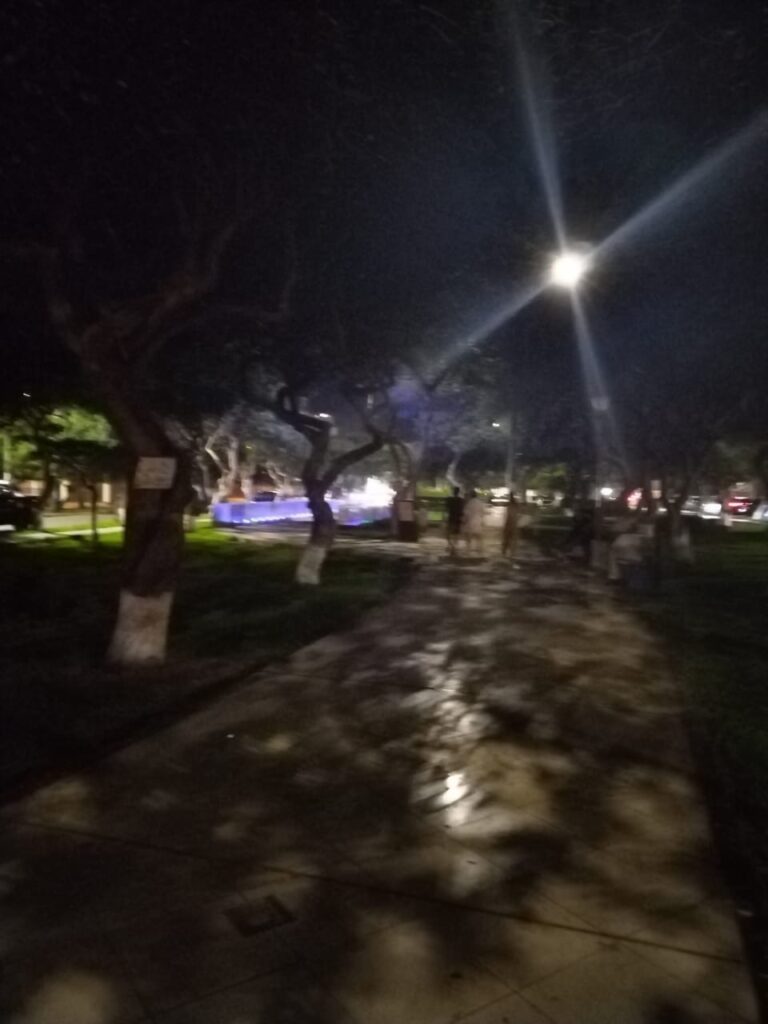 Parque de Aguas. La oscuridad en el berma central del parque es un graves peligro para los peatones. (Foto: BuenaPepa).