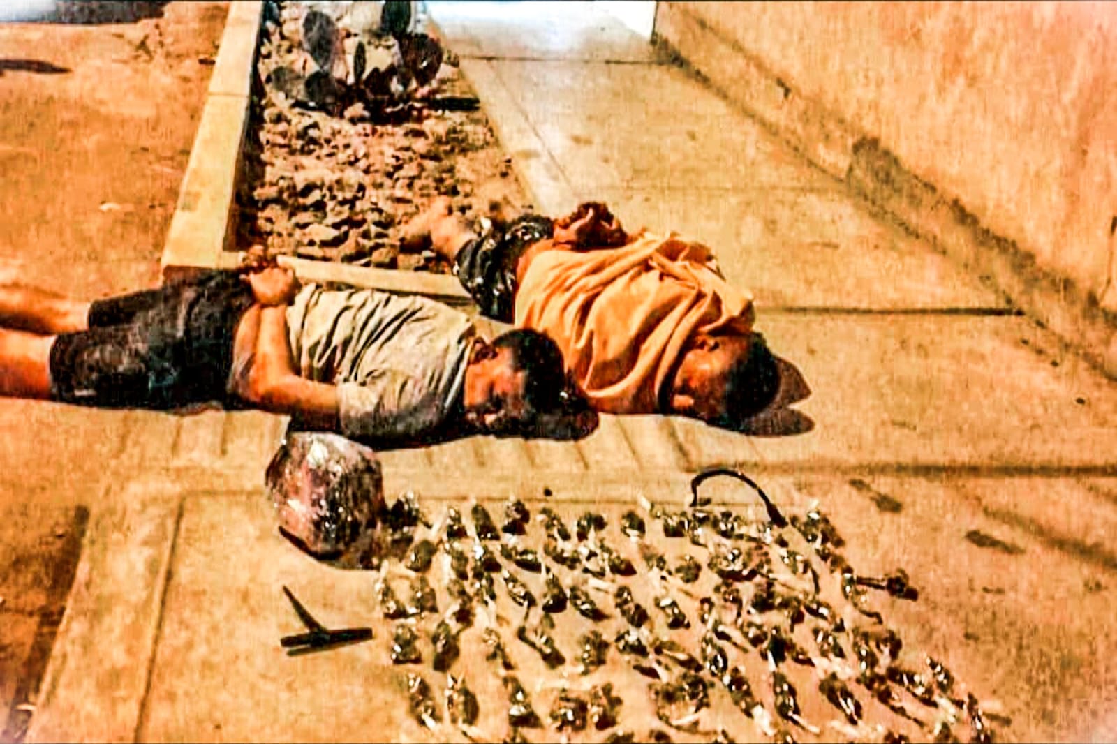 c0556a98-a15c-4bf2-83d5-fd949a95abbe