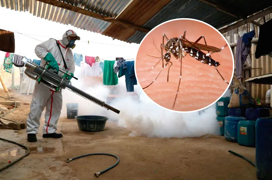 El dengue se ha extendido en La Libertad y otras regiones del norte del Perú.