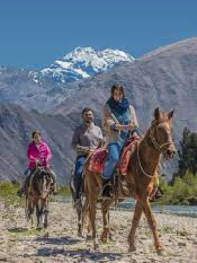 El viaje es el bolsillo
