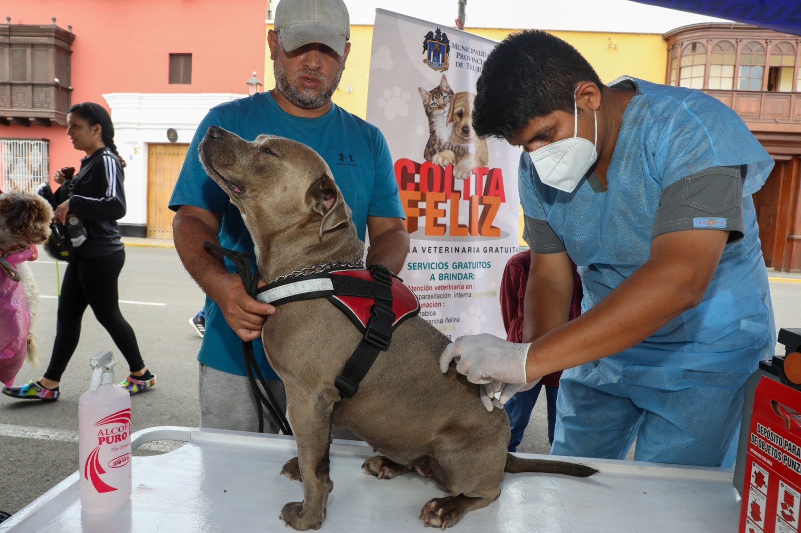 Más de 1,850 perros y gatos han recibido una serie de vacunas de forma gratuita, incluyendo la protección contra la rabia, triple felina y quíntuple canina, durante el período de enero a septiembre de este año gracias a la campaña Colita Feliz, una iniciativa de la Municipalidad Provincial de Trujillo (MPT).