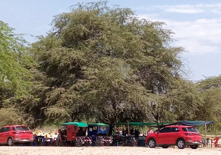 Plano general de una algarrobo donde una puesto de comida ofrece cebiche en Piura,