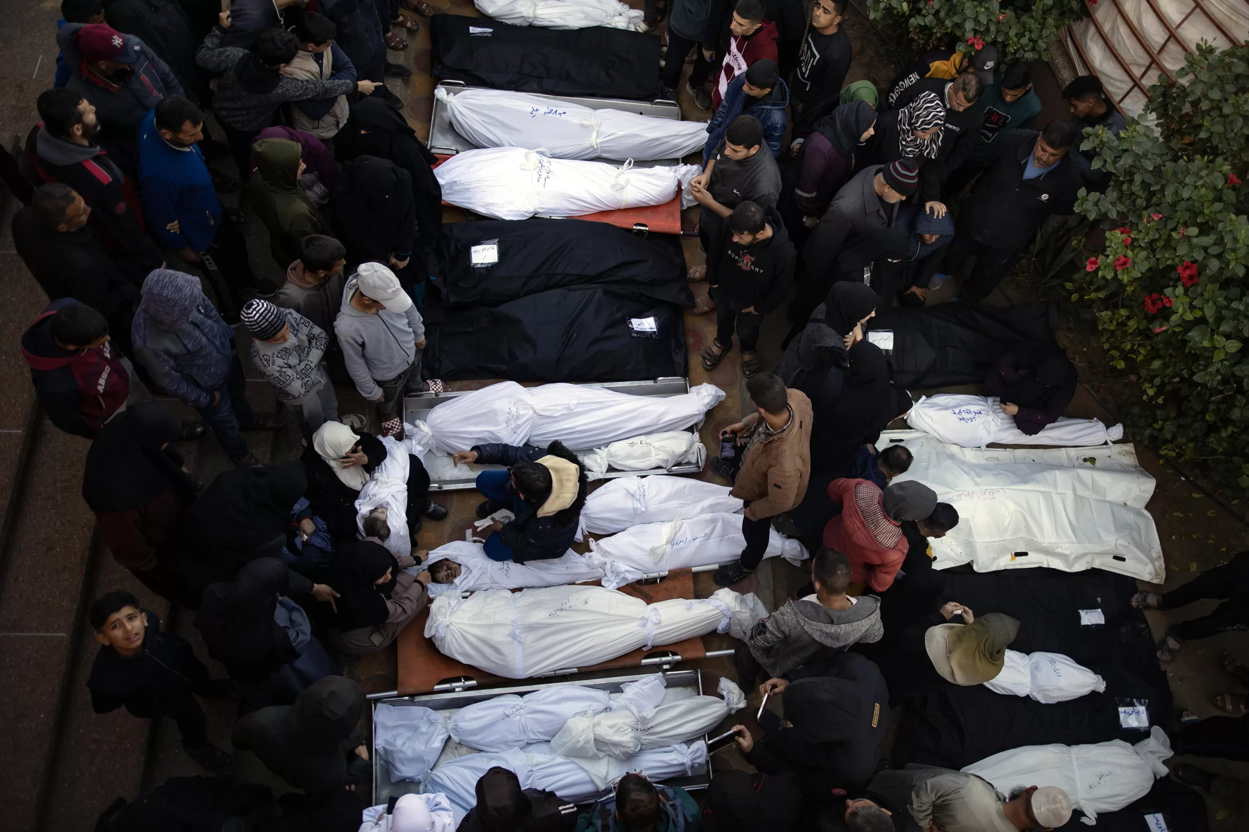 Un total de 113 palestinos murieron y 250 resultaron heridos en las últimas 24 horas en Gaza por la ofensiva militar de Israel, según informó para el mundo entero, el Ministerio de Sanidad en la Franja.