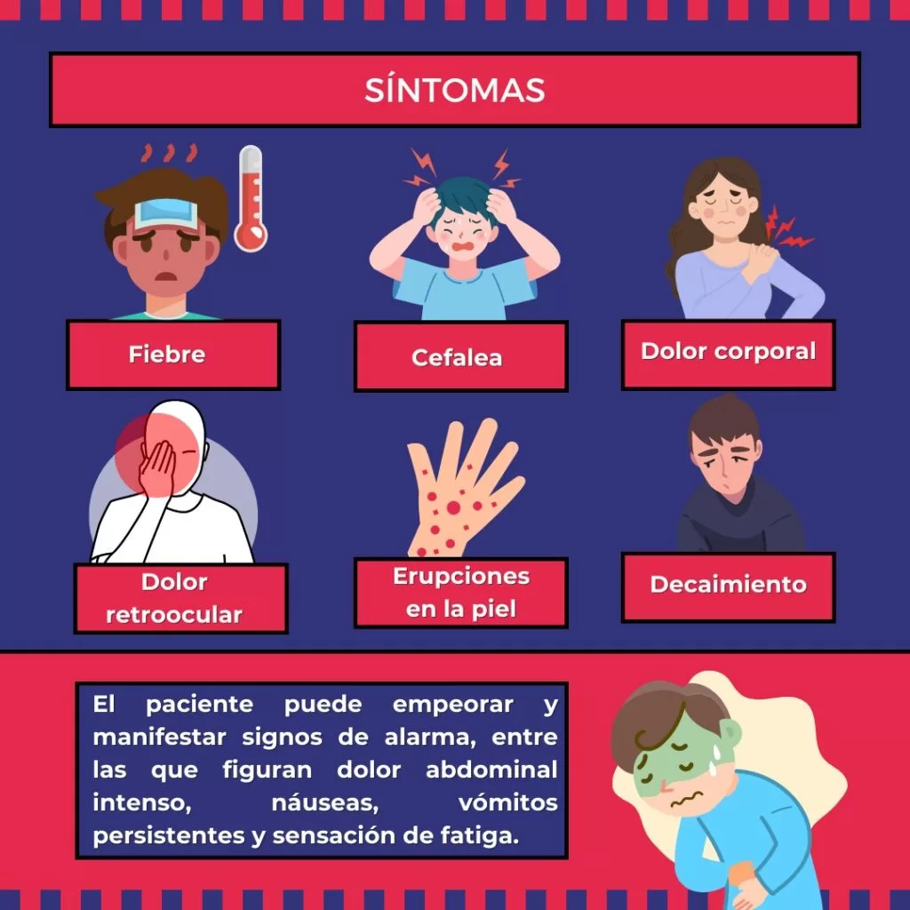 Síntomas del Dengue: Fiebre, cefalea, dolor retroocular, erupciones en la piel y decaimiento.