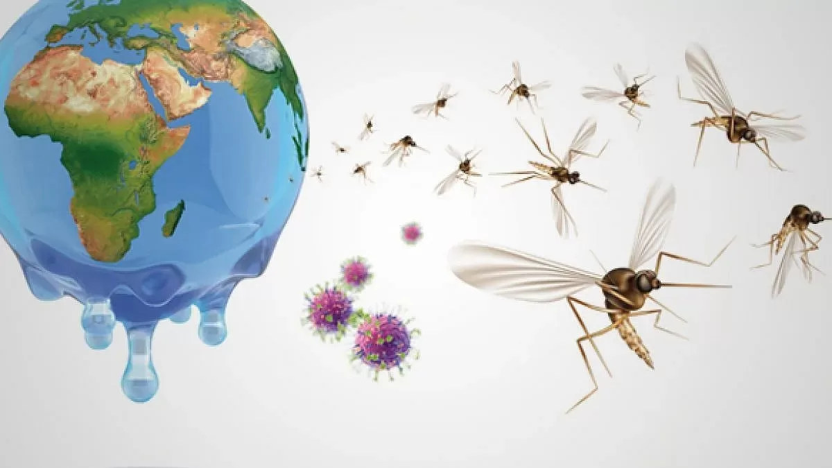 El dengue ataca a toda Sudamérica. Brasil, Argentina y Perú son los países más afectados por la picadura del zancudo.