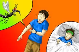 El dengue desangra a Perú: 117 muertes en lo que va del 2024, un 254,55% más que en 2023 Último informe del Ministerio de Salud informa que Perú acumula 117 muertes por dengue en lo que va de 2024, un 254,55 % más que en el mismo periodo de 2023, cuando fueron 33.