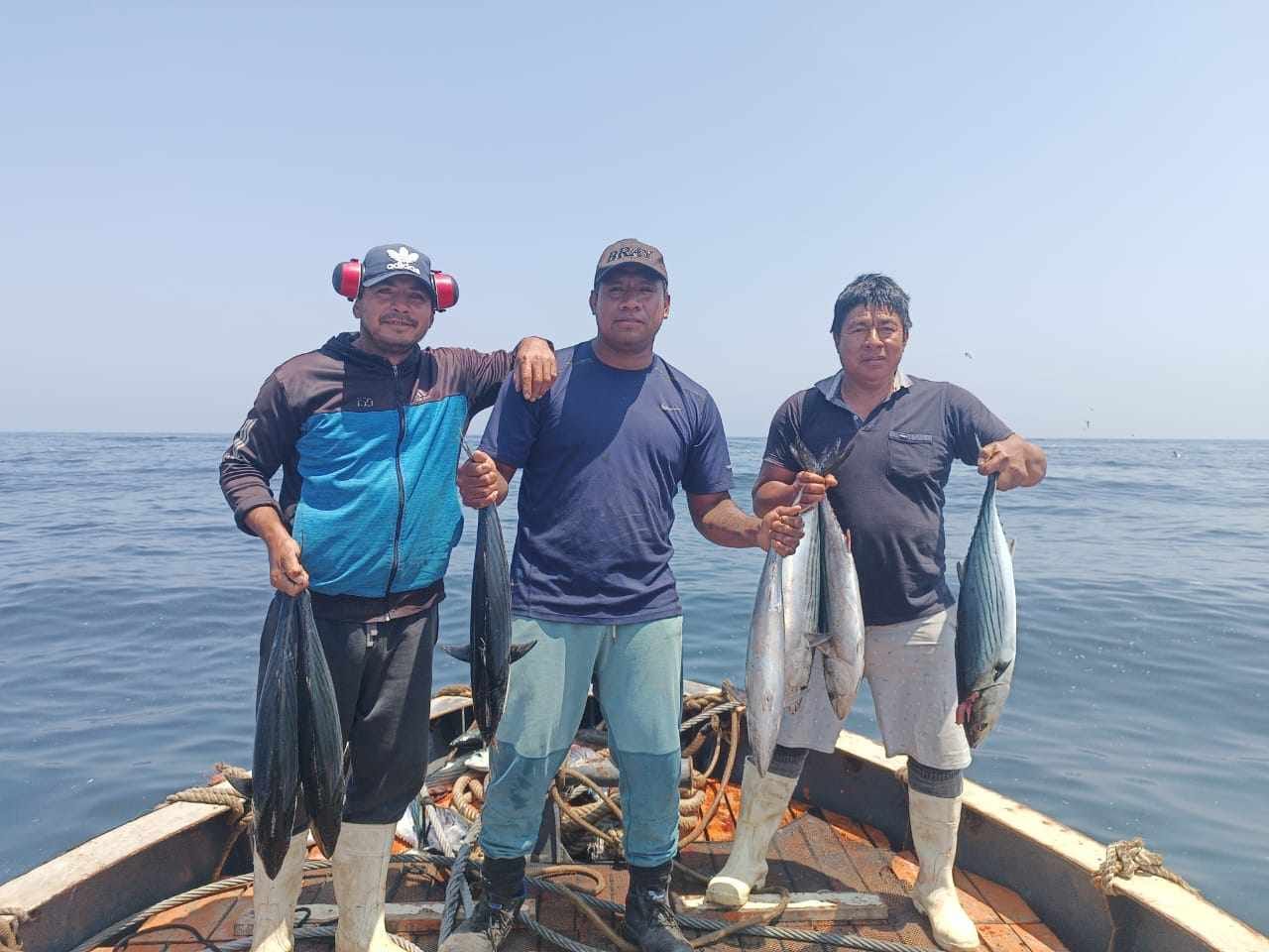 WhatsApp Image 2024-06-25 at 12.11.27 PM (1)