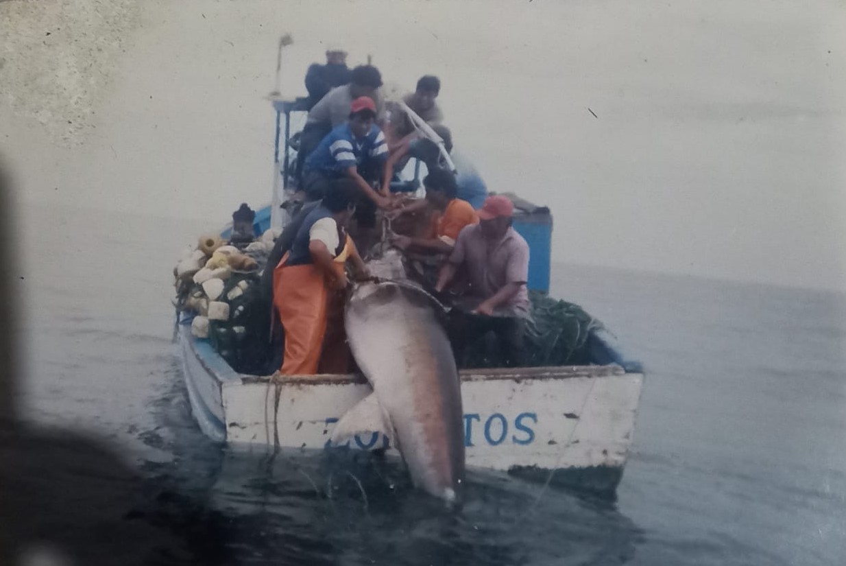 WhatsApp Image 2024-06-28 at 1.24.41 AM (3)