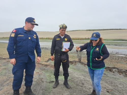 Autoridades muestran una especie de fauna afectada por el atentado en el humedal de Uripe en Salaverry.