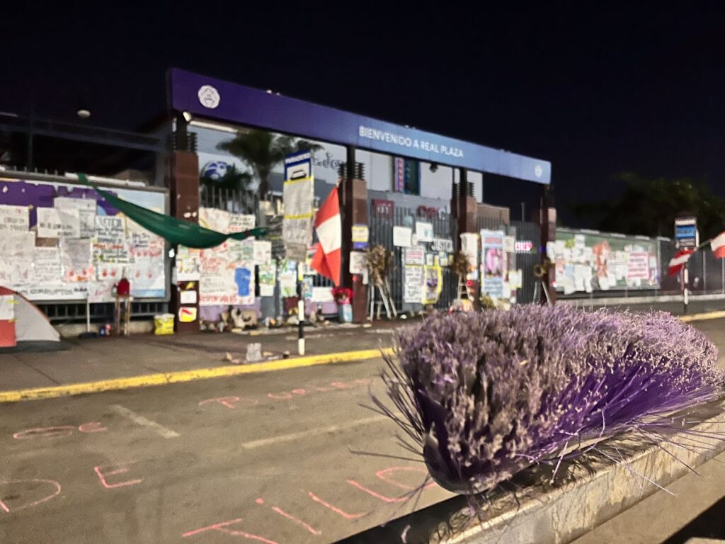 Real Plaza Trujillo, caída de Techo