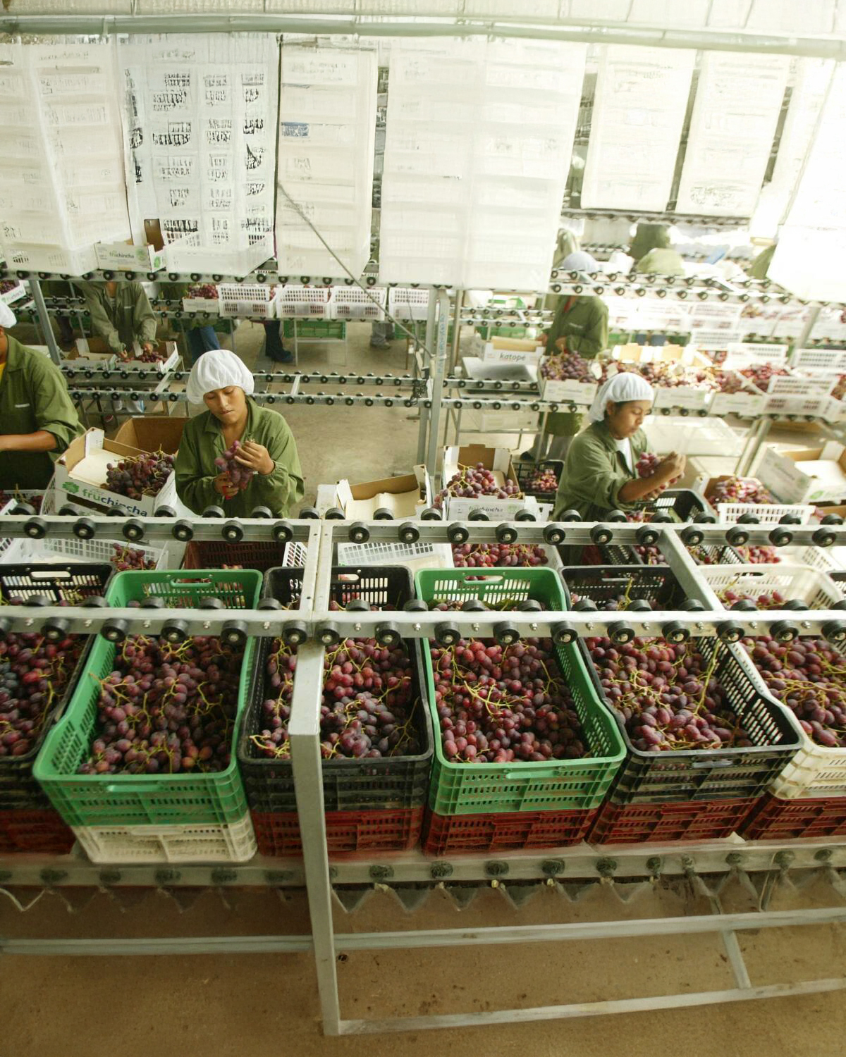 Foto_laboral_04