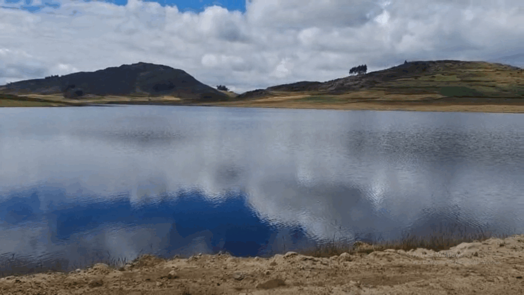 Salpo Laguna Pacarinacocha