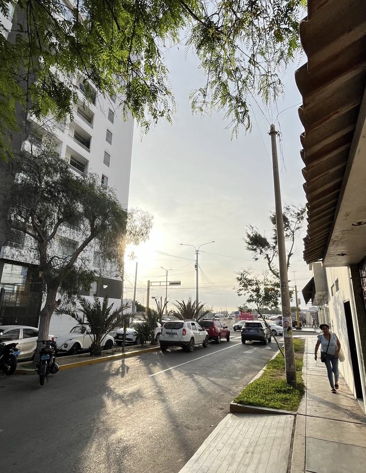 Palmas de Mallorca, la avenida más pequeña de Trujillo. 