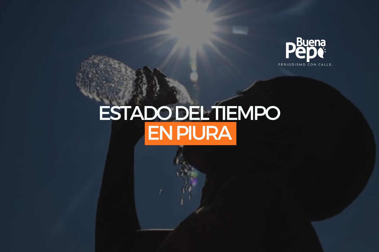 Copia de POST WEB - 2026-02-05T112041.330